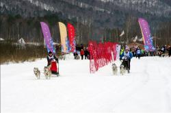 ДЕТСКО-ЮНИОРСКАЯ ГОНКА, СУПЕР-СПРИНТ, ГОНКА НА ВЫБЫВАНИЕ  «АЛТАЙ-JАРЫШ» 