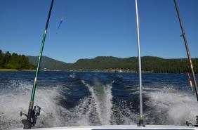 Отдых на Алтае : Телецкое озеро экскурсии к водопадам : На катере по Телецкому озеру