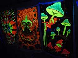 Горный Алтай : Фестиваль ВОТЭТНО-2011 : В чайной