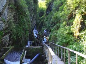 Отдых на Алтае : Телецкое озеро экскурсии к водопадам : Водопад Эстюба