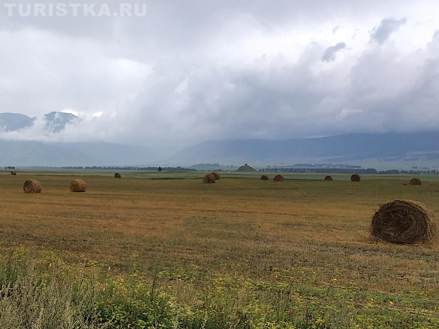 Заготовка сена