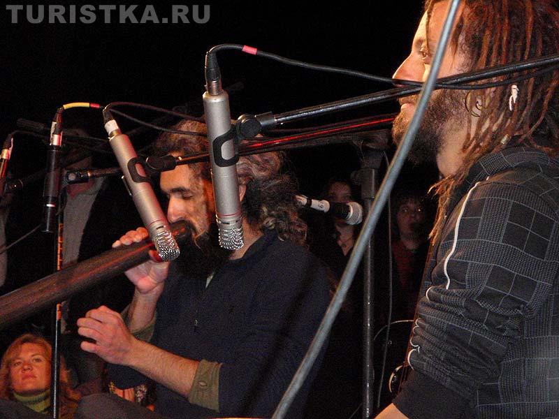 Ортал Пеллег, Давид Сваруп