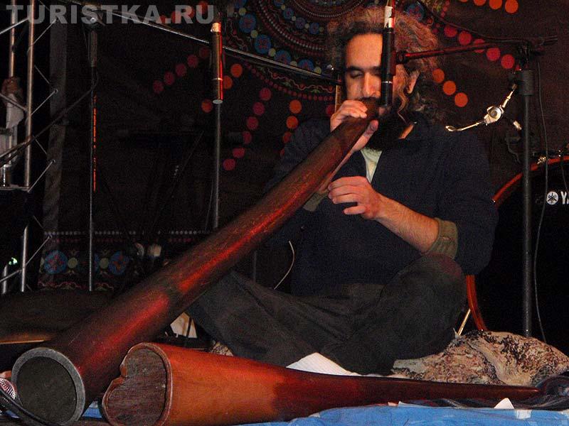 Ортал Пеллег, Давид Сваруп