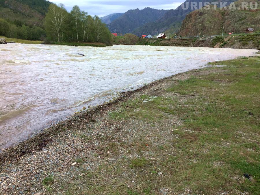 Река Чуя в селе Белый Бом