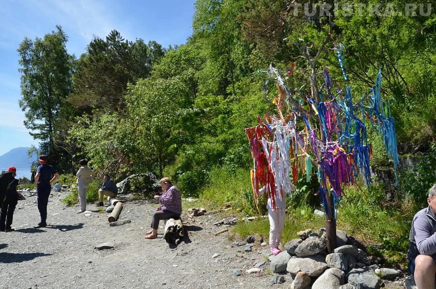 Берег Телецкого озера около водопада Чодор