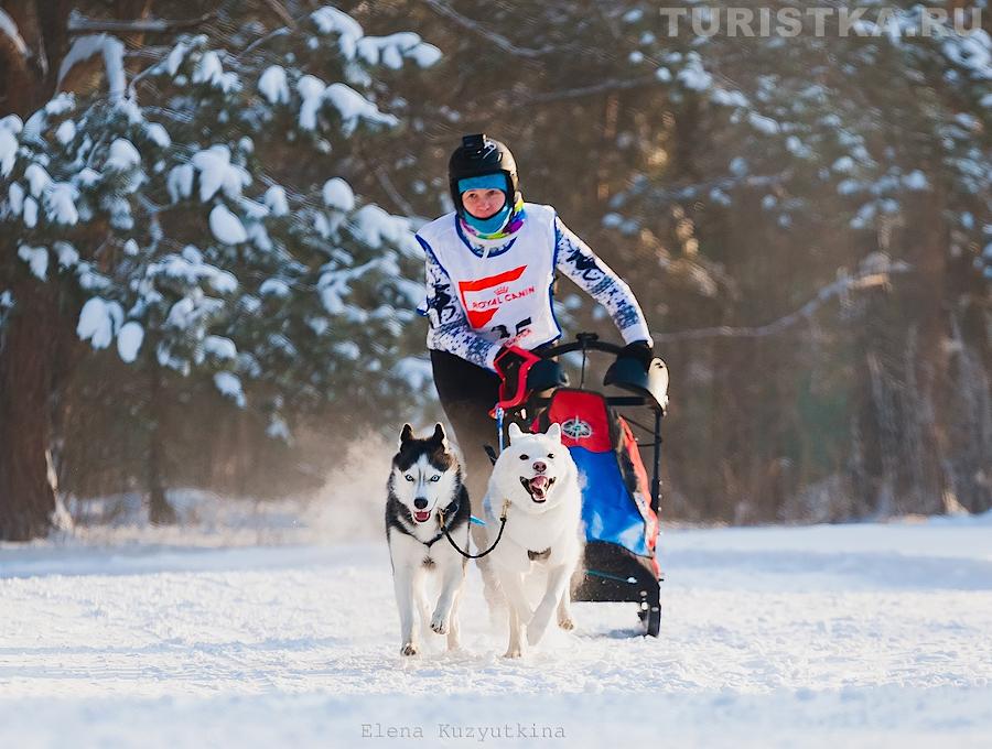 Радыгина Татьяна. Нарта-спринт СЕС