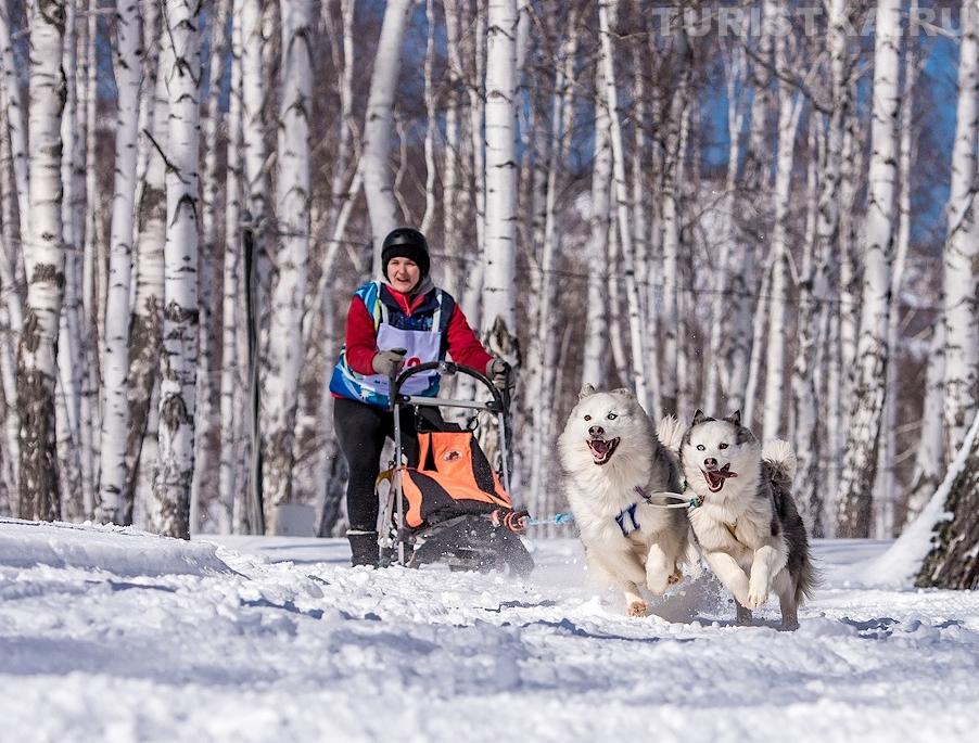 Решетова Любовь. Нарта 50 км, 8 собак