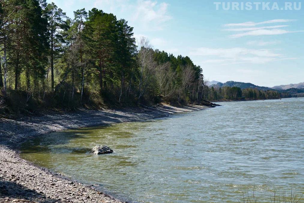Катунь в Черемшанке