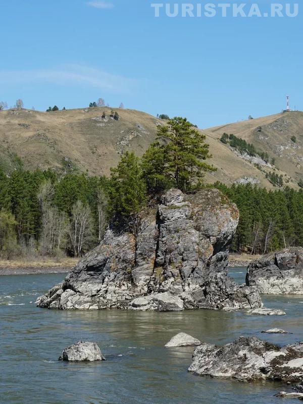 Катунь в Черемшанке