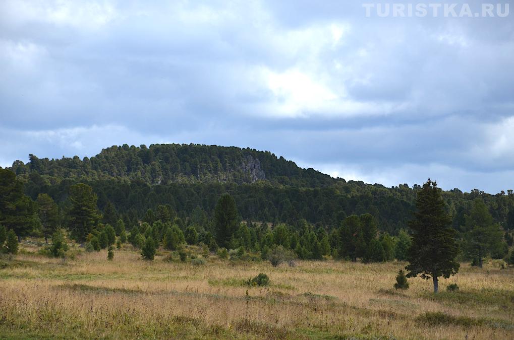 Вид на скалы Ласточкино гнездо