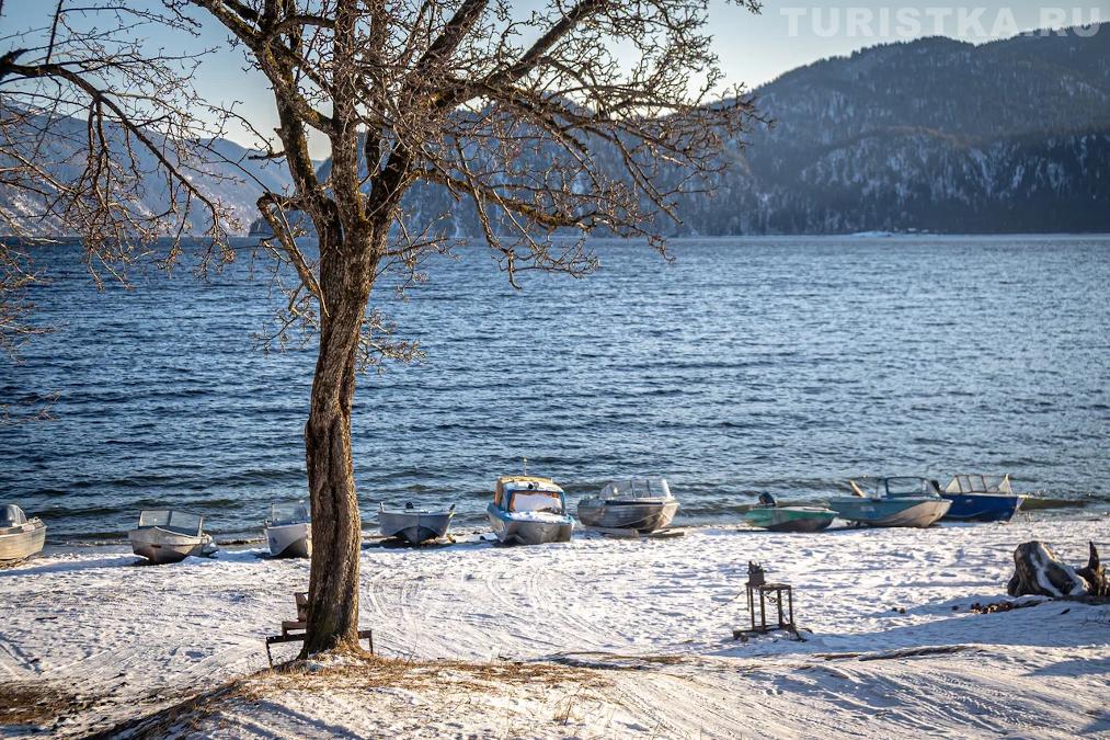 Берег Телецкого озера в поселке Яйлю