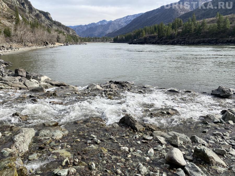 Впадение реки Бельтертуюк в Катунь