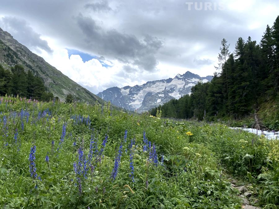 Тропа к озеру Поперечному