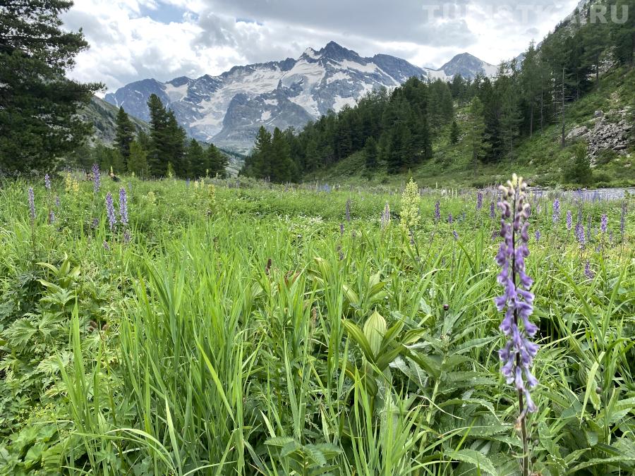 Тропа через альпийские луга к озеру Поперечному