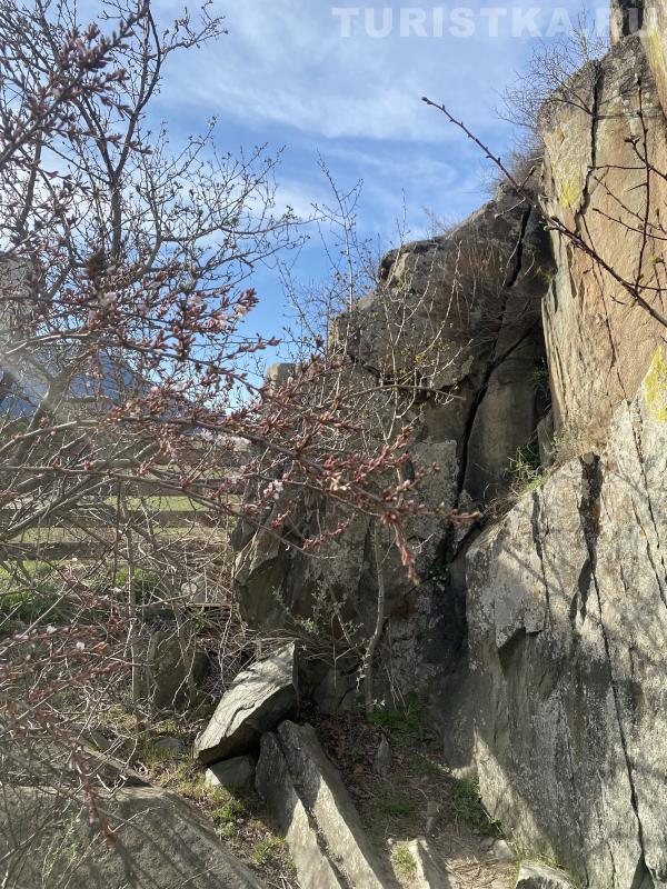 Петроглифы Куюсского грота 