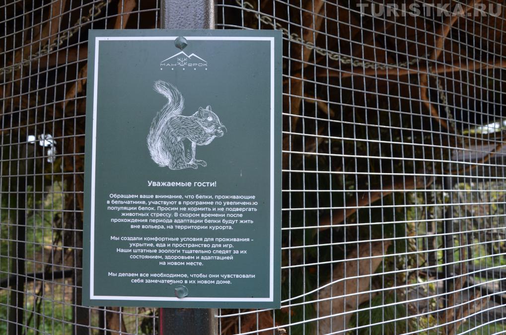 Бельчатник