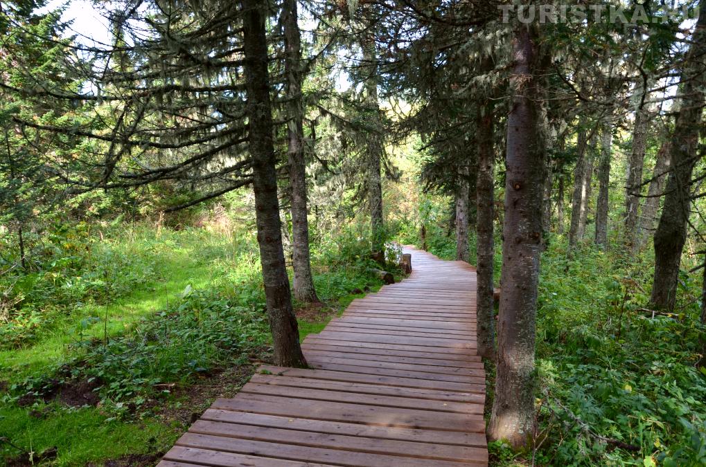 Тропа Путь воли