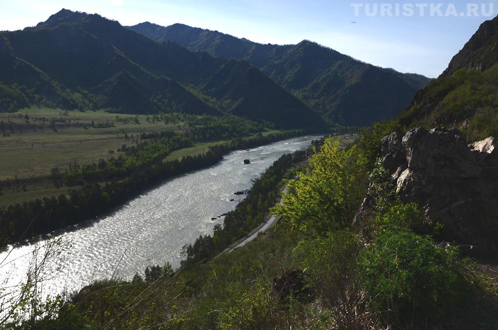Вид на Катунь со Смотровой площадки