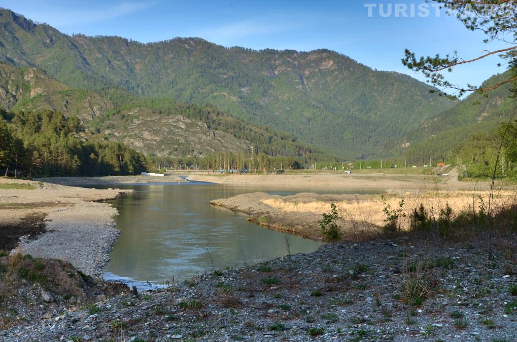 Русло реки Чемал там, где было Чемальское водохранилище