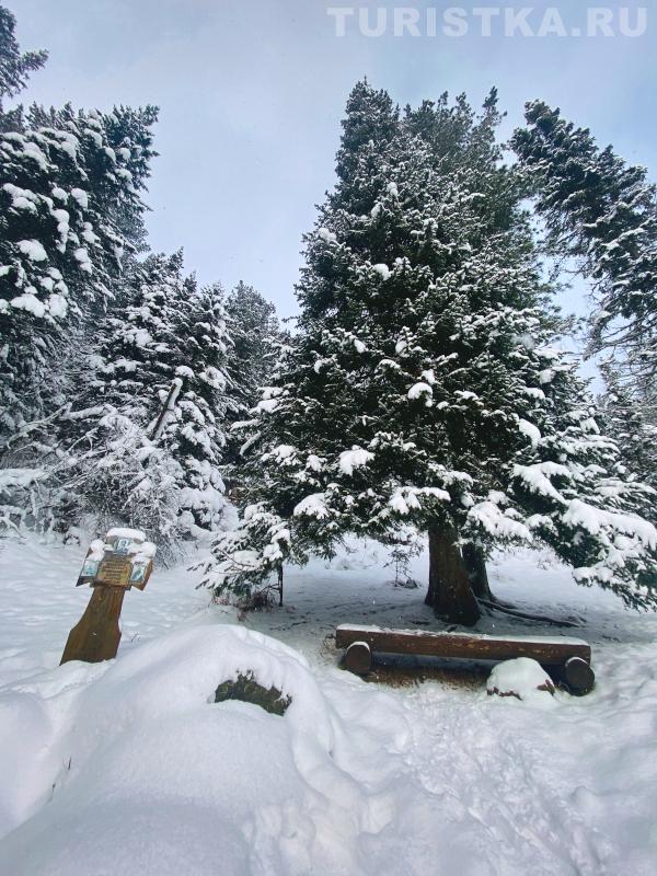 Серебряный источник в Артыбаше