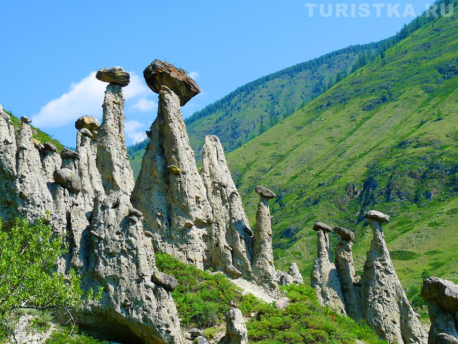 Каменные грибы