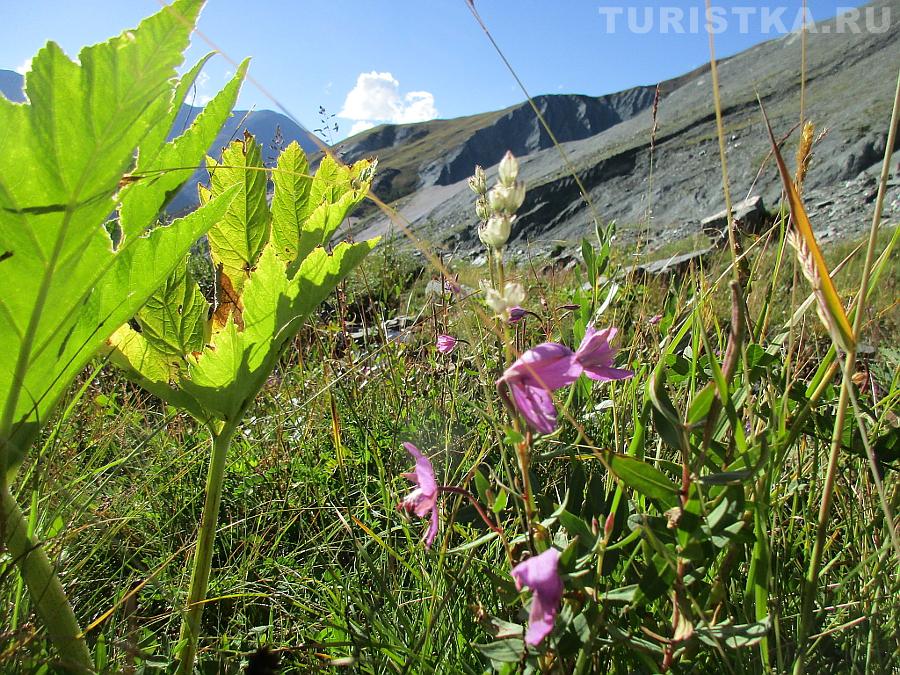 В ущелье Ярлу