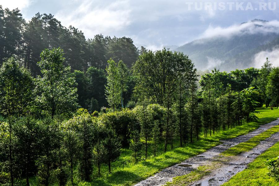 Вид из гостевых домиков в Ботаническом саду