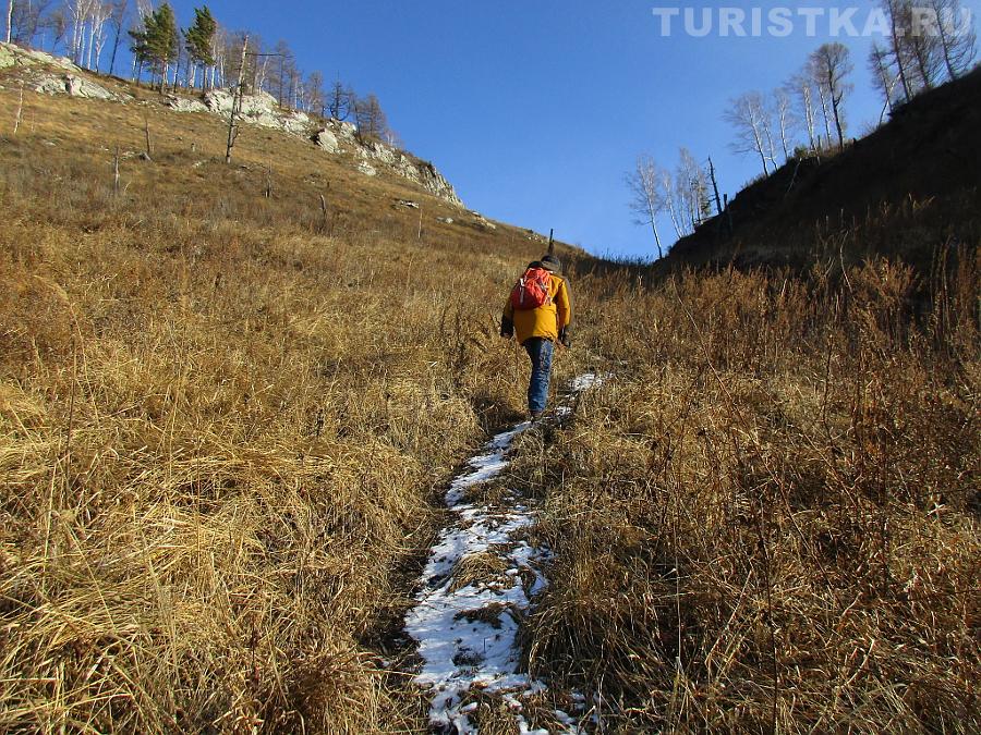 Тропинка к смотровой площадке с березами