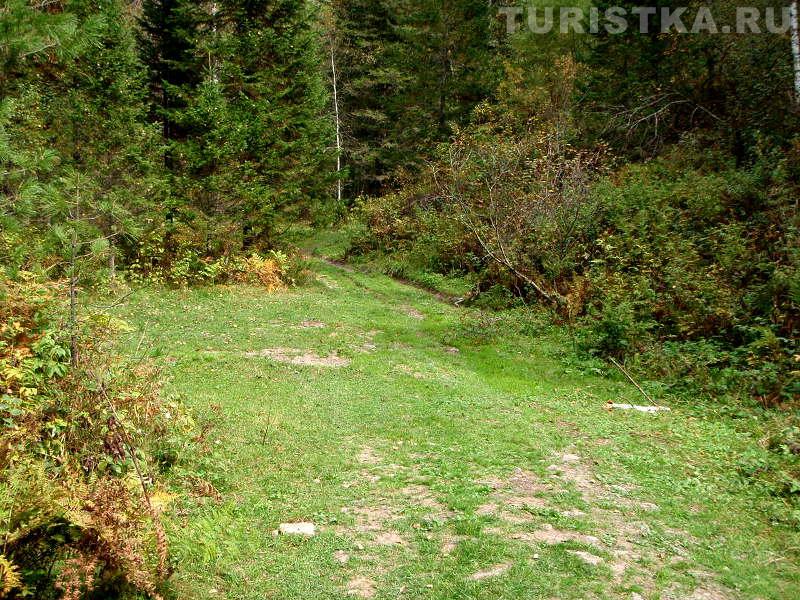 Можно свернуть и поставить машину