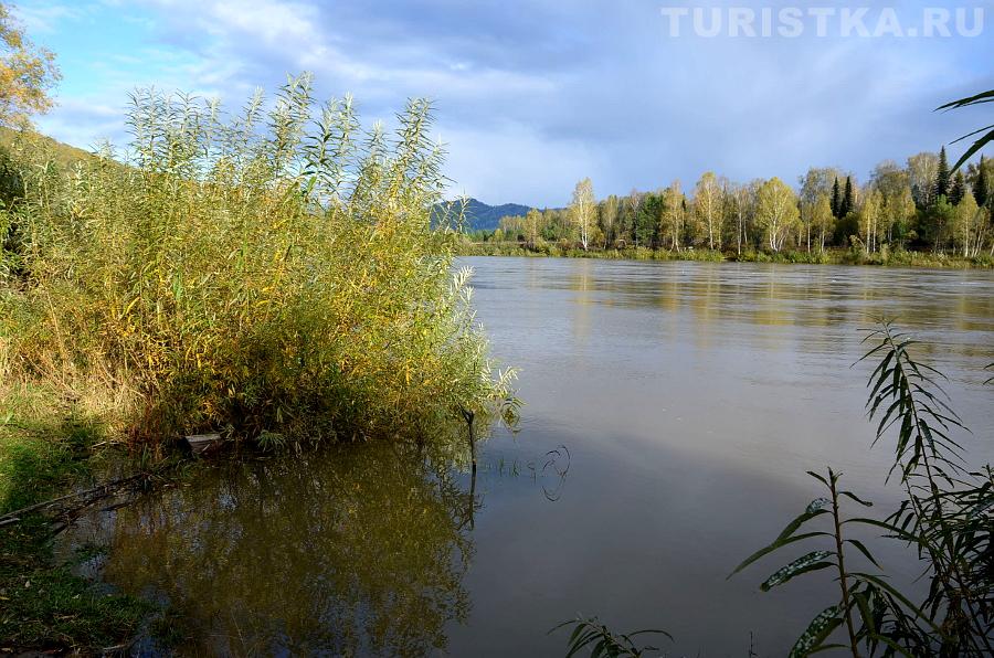 Река Бия около скалы Иконостас