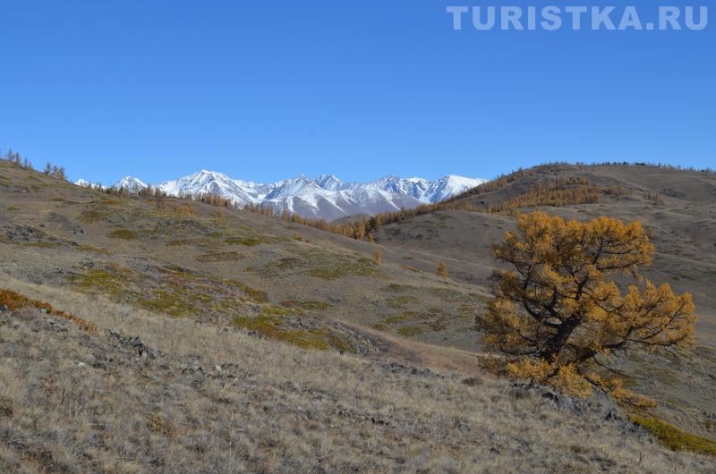 Курайский хребет (вид от вышки)