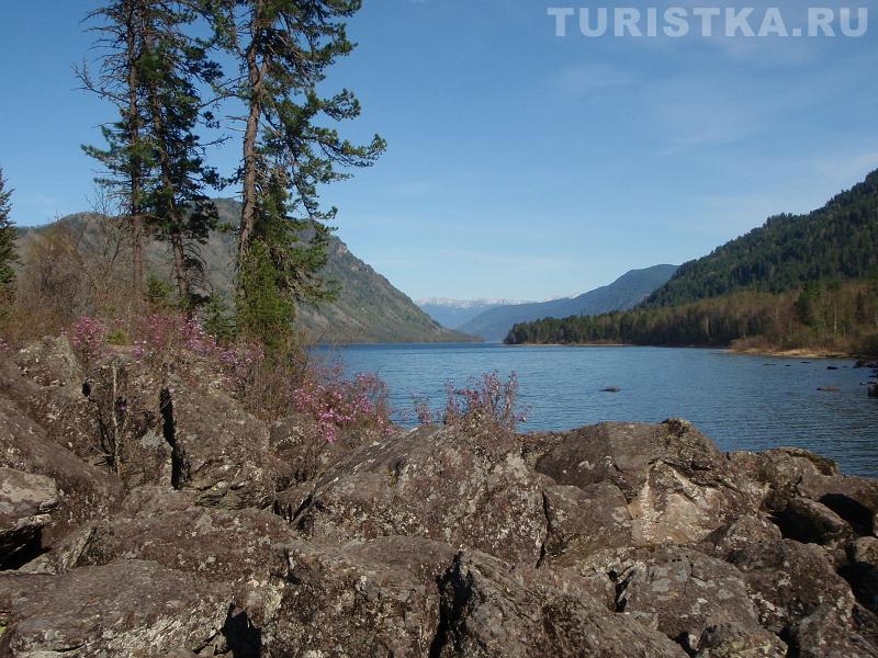 Впереди Телецкое озеро