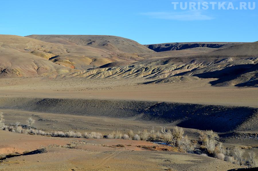 Вид с Марса-1