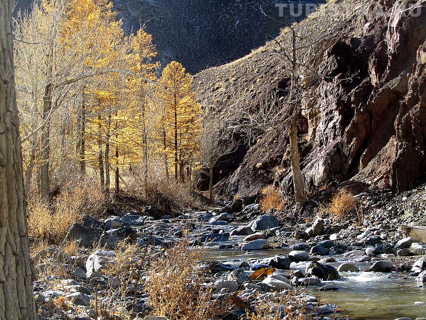 Река Кызыл-Чин днем в октябре - уже оттаяла и потекла