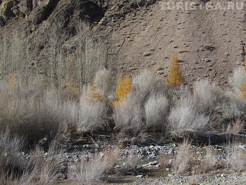 Река Кызыл-Чин в ущелье