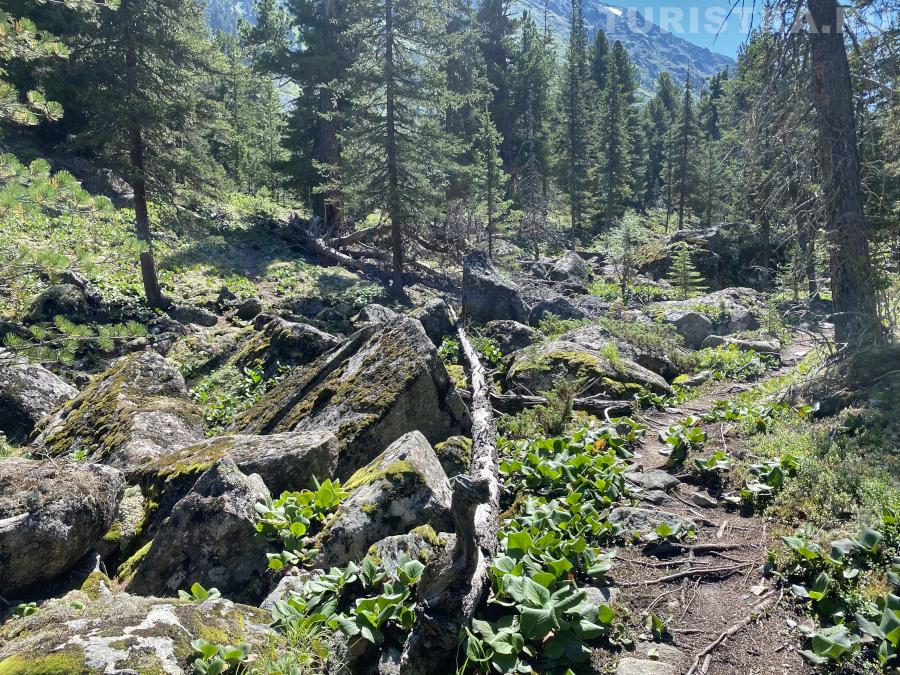 Тропа к озеру Крепкое