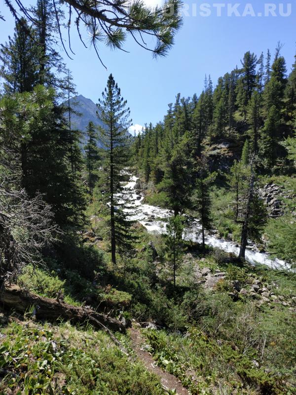 Река Крепкая по дороге к озеру Крепкое