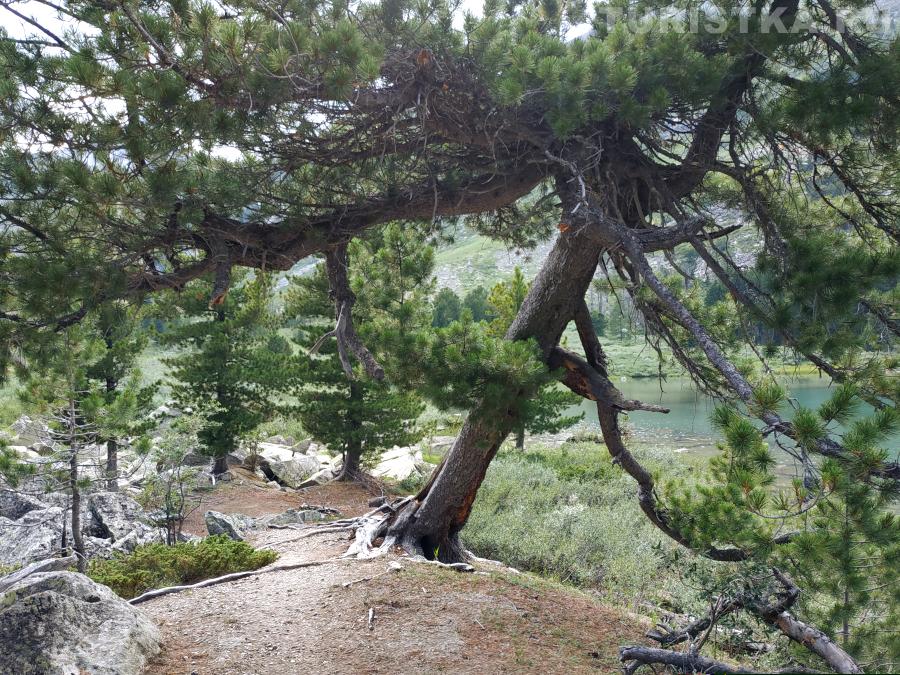 По дороге к озеру Крепкое