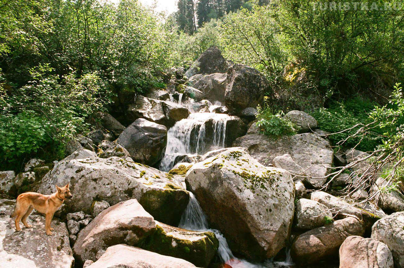 Перед водопадом Кулядын