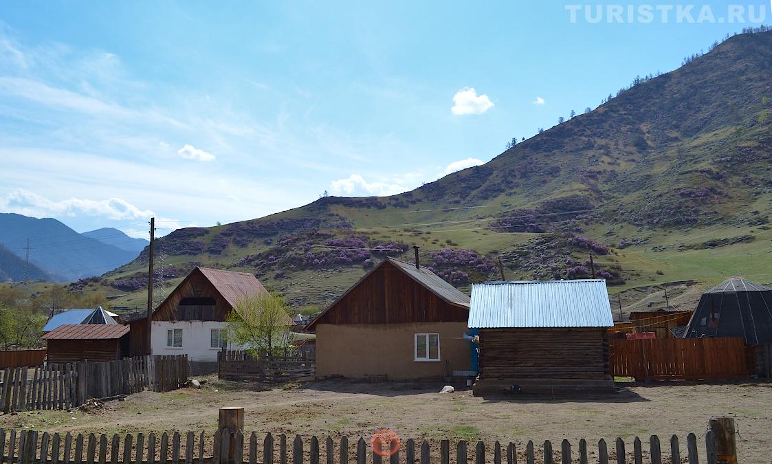 Село Купчегень