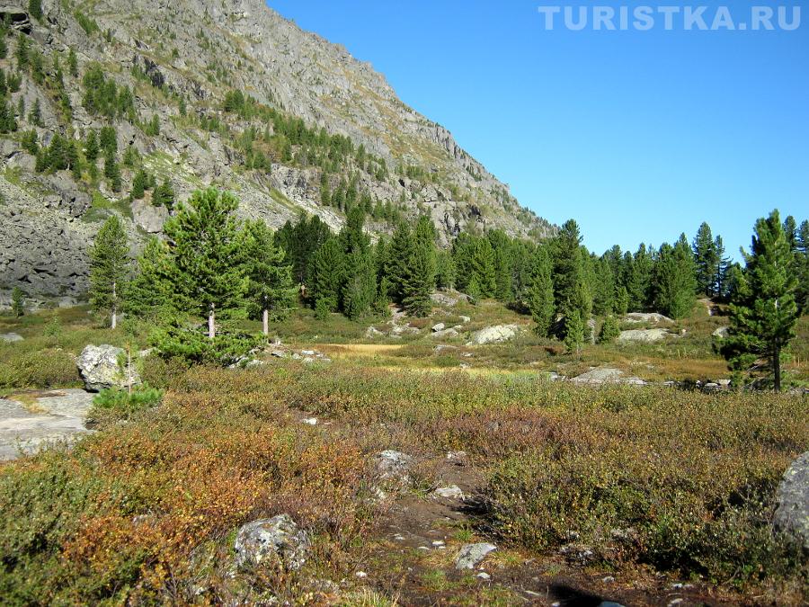Берег между Верхним и Нижним Куйгукскими озерами