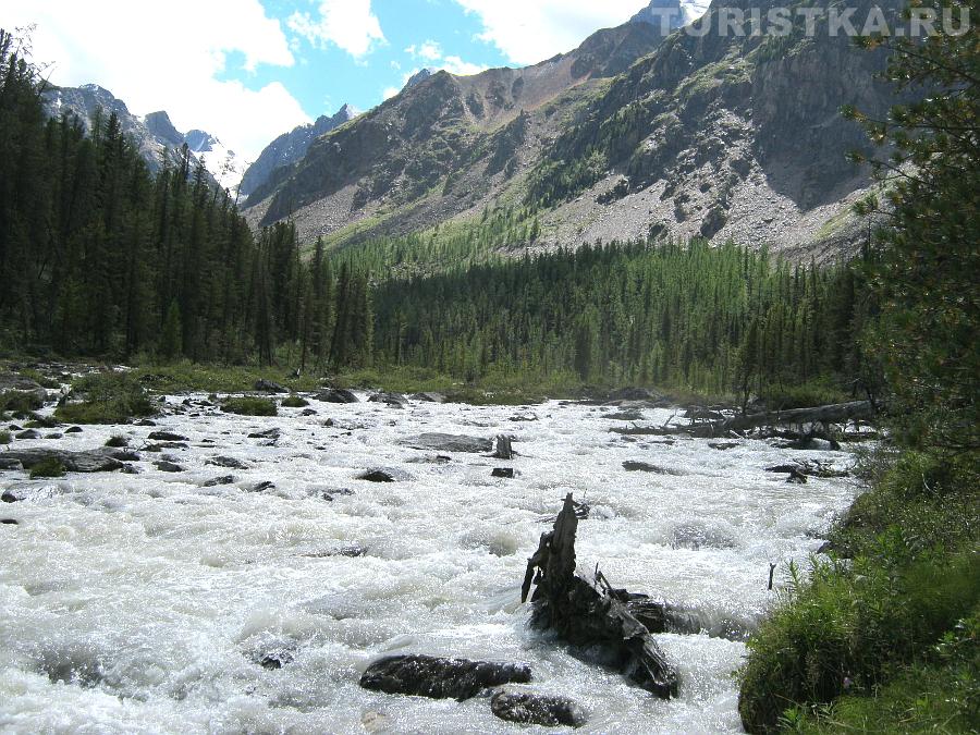 Река Левая Шавла