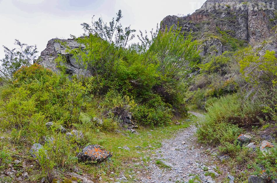  Дорога к слиянию Катуни и Аргута