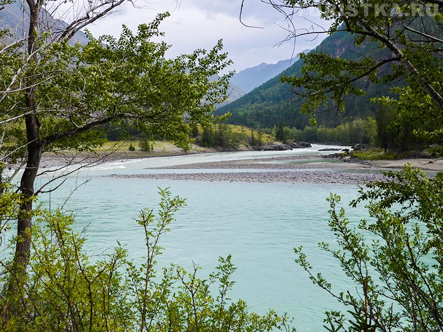 Аргут впадает в Катунь