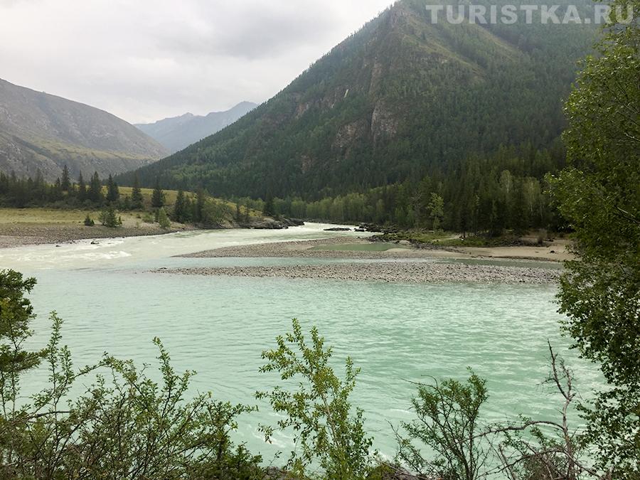 Аргут впадает в Катунь