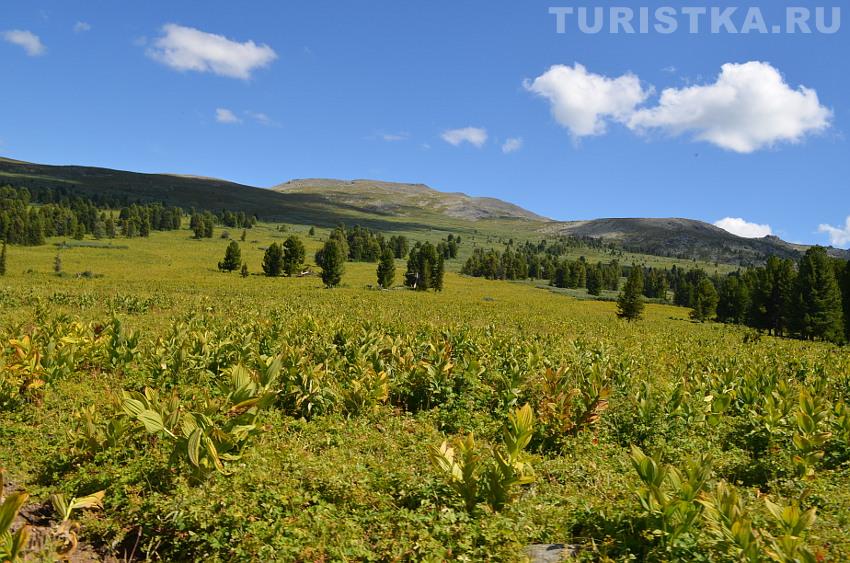 Вид справа от тропы к водопаду, после Замков горных духов
