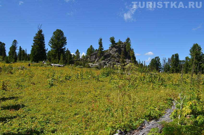 Справа от тропы к лесу - небольшая скала
