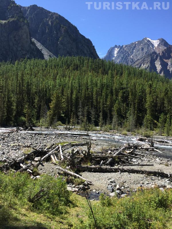 Правая Шавла недалеко от слияния с Левой Шавлой