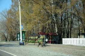 Село Березовка