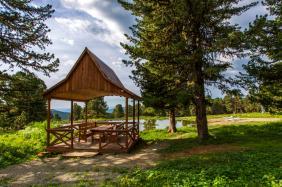 Отдых на Алтае : Базы и отели на Семинском перевале : Турбаза «Динамо» : Территория